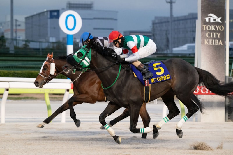 【大井・金盃】売得は前年比大幅ダウン…グリューヴルムが重賞制覇