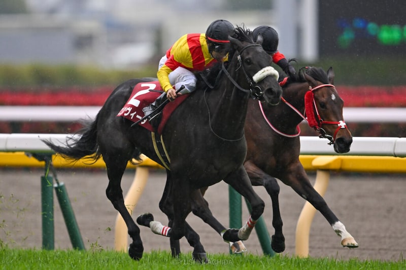 エリカヴィータが登録抹消…繁殖入り