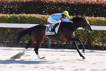 【東京7R】ルヴァンスレーヴ産駒 リベッチオが連勝