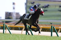 【新馬/東京5R】柴田善臣騎手が最年長勝利記録を更新