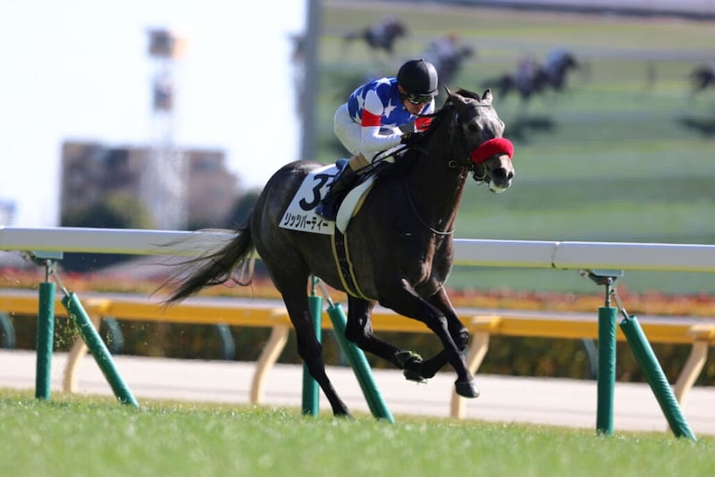 【新馬/東京5R】柴田善臣騎手が最年長勝利記録を更新