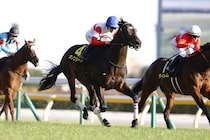 【白富士S】良血ダノンシーマがOP初勝利…4連勝中ウィクトルウェルスは3着