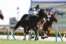 【クロッカスS】良血オルネーロが2勝目