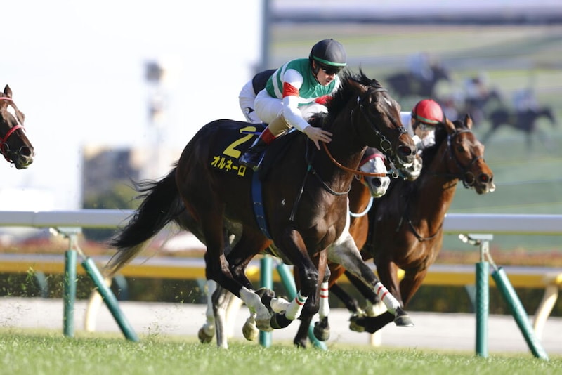 【クロッカスS】良血オルネーロが2勝目
