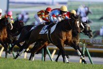 【東京12R】キング騎手騎乗アールヴィヴァンが快勝…今年6勝目をマーク