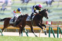 【新馬/東京5R】ロードカナロア産駒 アスクイキゴミがデビューV