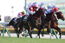 【節分S】ルメール騎乗 ウイントワイライトが鮮やかに差し切る