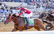 世界最高賞金レース、サウジカップの馬券発売…フォーエバーヤングら参戦