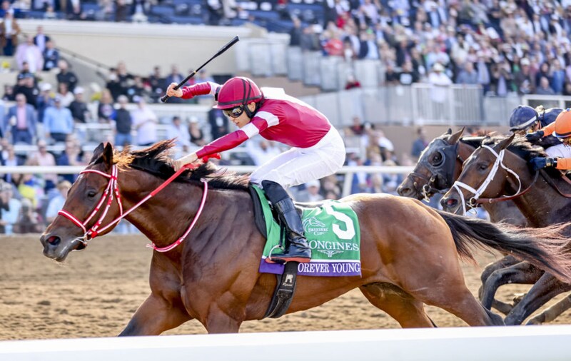 世界最高賞金レース、サウジカップの馬券発売…フォーエバーヤングら参戦