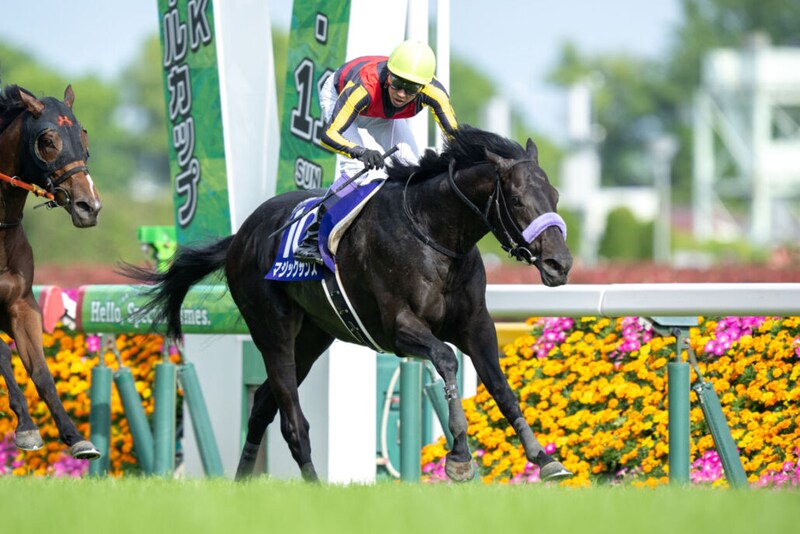 武豊騎手 今週の騎乗馬…東京新聞杯はマジックサンズとのコンビ