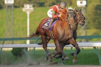 【佐賀記念】カズタンジャーなどJRA馬4頭