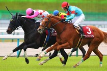 ダイシンクローバーが登録抹消…京都ハイジャンプでV