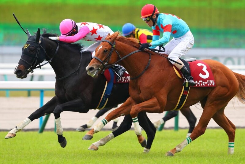 ダイシンクローバーが登録抹消…京都ハイジャンプでV