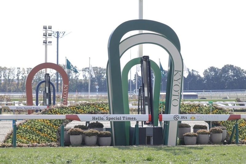 【新馬/京都4R】9番人気の伏兵アレンスターが8馬身差圧勝