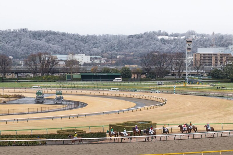 東京競馬は雪の影響で8R以降が中止に