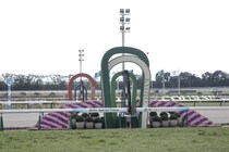 京都競馬が再び中止…8日→9日に順延も積雪の影響続く、代替は10日に実施へ
