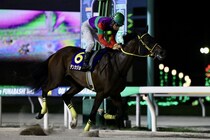 【クイーン賞】昨年3着テンカジョウは4枠5番から