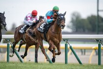 【ゆりかもめ賞】スカイスプレンダーが積極的なレース運びで後続を完封…シルクレーシングのワンツー