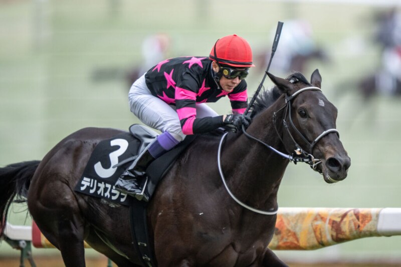 【初音S】武豊テリオスララの鮮やかな逃げ切り
