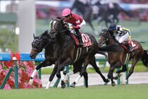 【京都記念登録馬】エリキングなど14頭