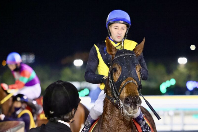 【クイーン賞】ルメール「1800mはギリギリ」メモリアカフェ勝ちに動いて惜しくも3着
