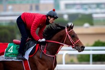 フォーエバーヤング好仕上がり…サウジカップへ日本勢が順調