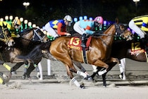 【クイーン賞】マーブルマウンテン移籍初戦でいきなり重賞2着、山本聡哉も能力絶賛