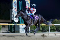 【佐賀記念】カゼノランナーが6馬身差圧勝…断然人気カズタンジャーは4着