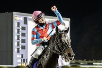 【佐賀記念】西村淳也「本当に良くなっている」カゼノランナー6馬身差完勝