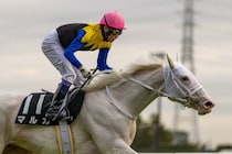 【武豊日記】色んな意味で難しい時期です