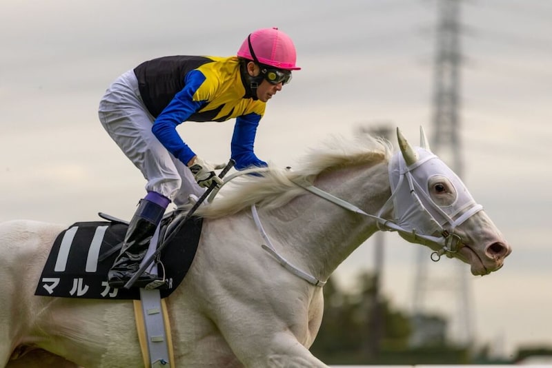 【武豊日記】色んな意味で難しい時期です