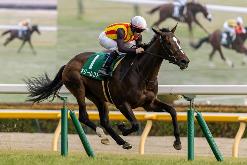 【クイーンC】良血ドリームコアが重賞初制覇…母はノームコア