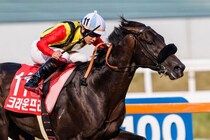 韓国で種牡馬入り！クラウンプライドが登録を抹消
