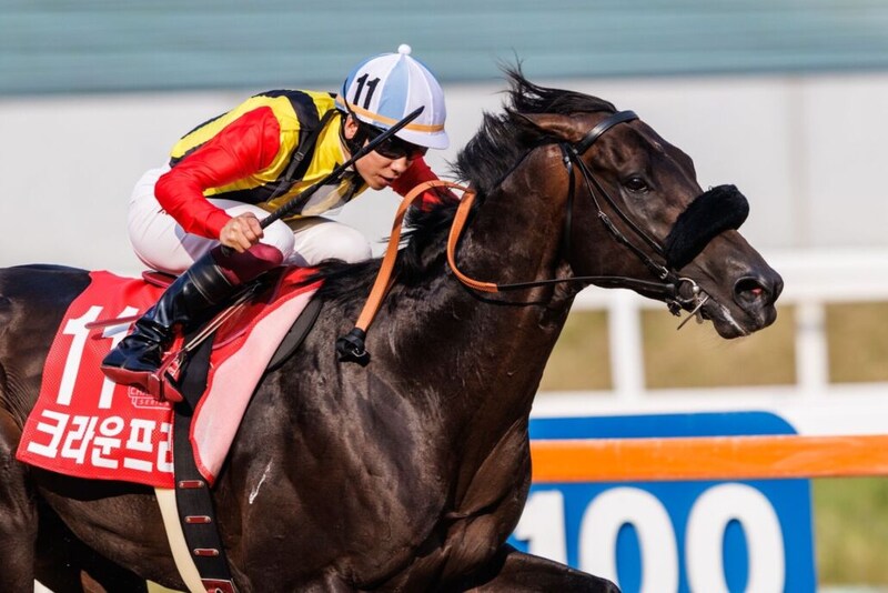韓国で種牡馬入り！クラウンプライドが登録を抹消