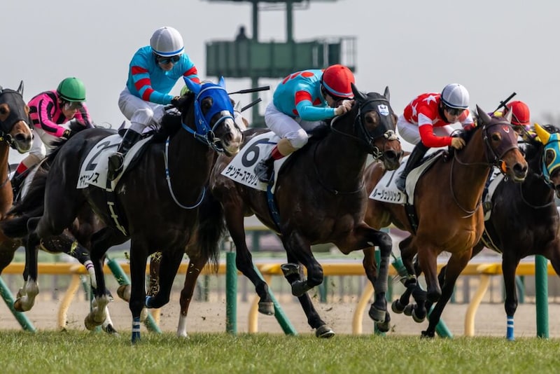 【東京5R】単勝1.4倍サンデースマッシュが断然の支持に応える