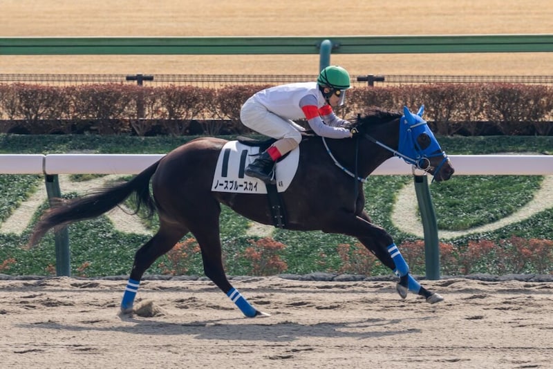 【新馬/東京4R】ロケットスタートから独走V!ノースブルースカイが鮮やか逃げ切り