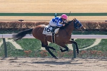 【東京3R】キング騎乗 リアライズタキオンがV…単勝1.3倍イナズマダイモンは5戦連続の2着