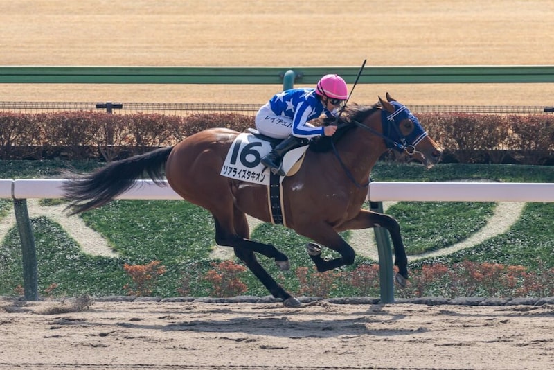 【東京3R】キング騎乗 リアライズタキオンがV…単勝1.3倍イナズマダイモンは5戦連続の2着