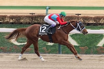 【銀蹄S】武豊ストレングスが抜け出す…2馬身半差完勝