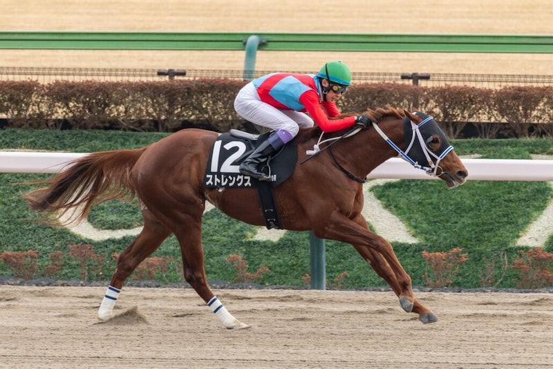 【銀蹄S】武豊ストレングスが抜け出す…2馬身半差完勝