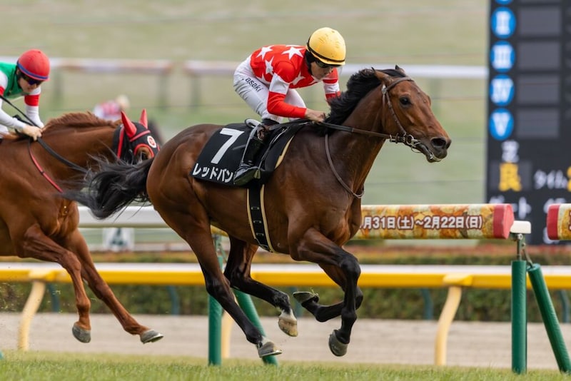 【箱根特別】レッドバンデが断然の支持に応える…良血アロンズロッドは3着まで