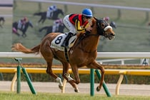 【東京6R】フォーエバーヤング半妹が初勝利！ダーリングハーストが快勝