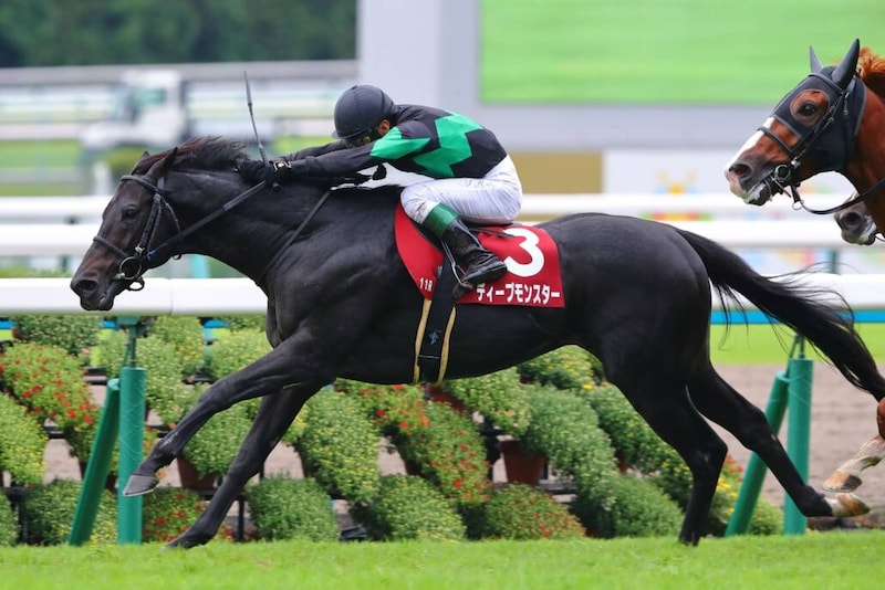 【カタール・アミールトロフィー】8歳馬ディープモンスターが海外重賞初制覇
