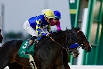 【リヤドダートスプリント】プラ騎手「素晴らしい競馬でした」BCスプリント2着馬イマジネーションの末脚炸裂