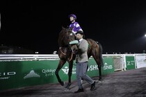 【サウジカップ】スムーズに運ぶも直線ひと押し利かず…サンライズジパングは6着