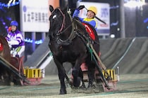 【ばんえい・黒ユリ賞】障害一気クリアで逆転　コトブキラベンダー世代女王に