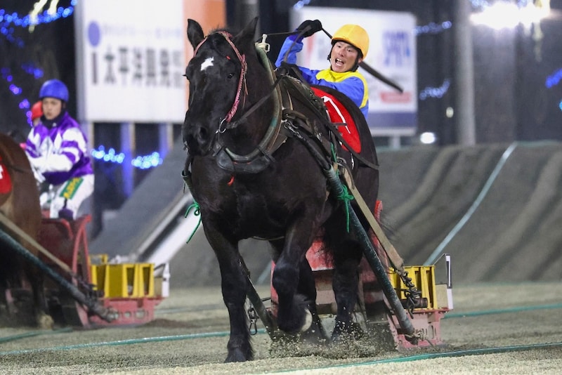 【ばんえい・黒ユリ賞】障害一気クリアで逆転　コトブキラベンダー世代女王に