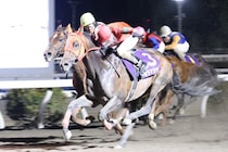 【高知・だるま夕日賞】止まらないオタマジャクシ、圧巻6連勝