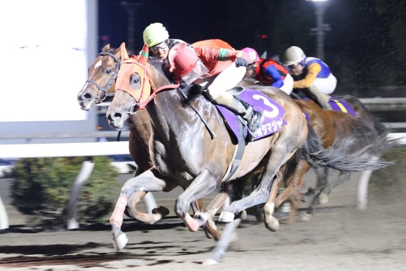 【高知・だるま夕日賞】止まらないオタマジャクシ、圧巻6連勝