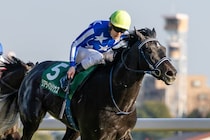 5億超キャリーオーバーのWIN5は3159票的中